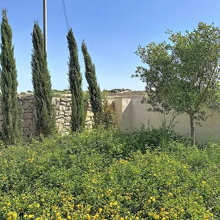 Luxury Duplex House In Center Of Malta With Private Swimming Pool Żebbuġ